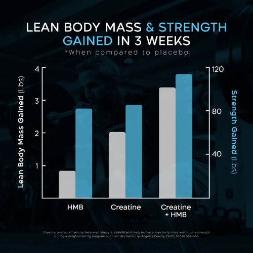Transparent Labs Creatine HMB - Image 3